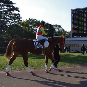 thumbnail_Watching exciting horse race