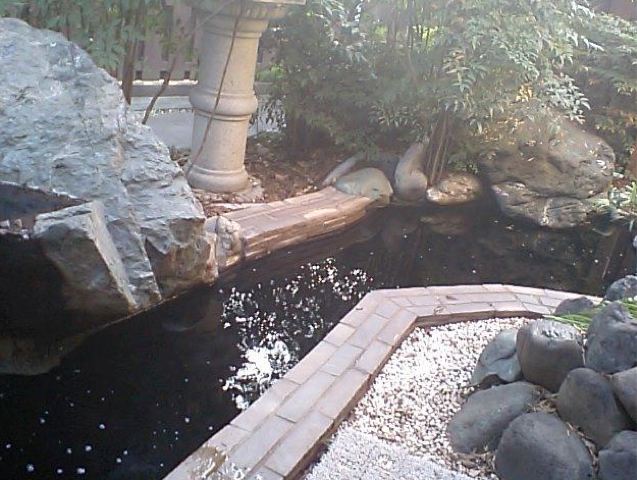 hot-spring-88-2